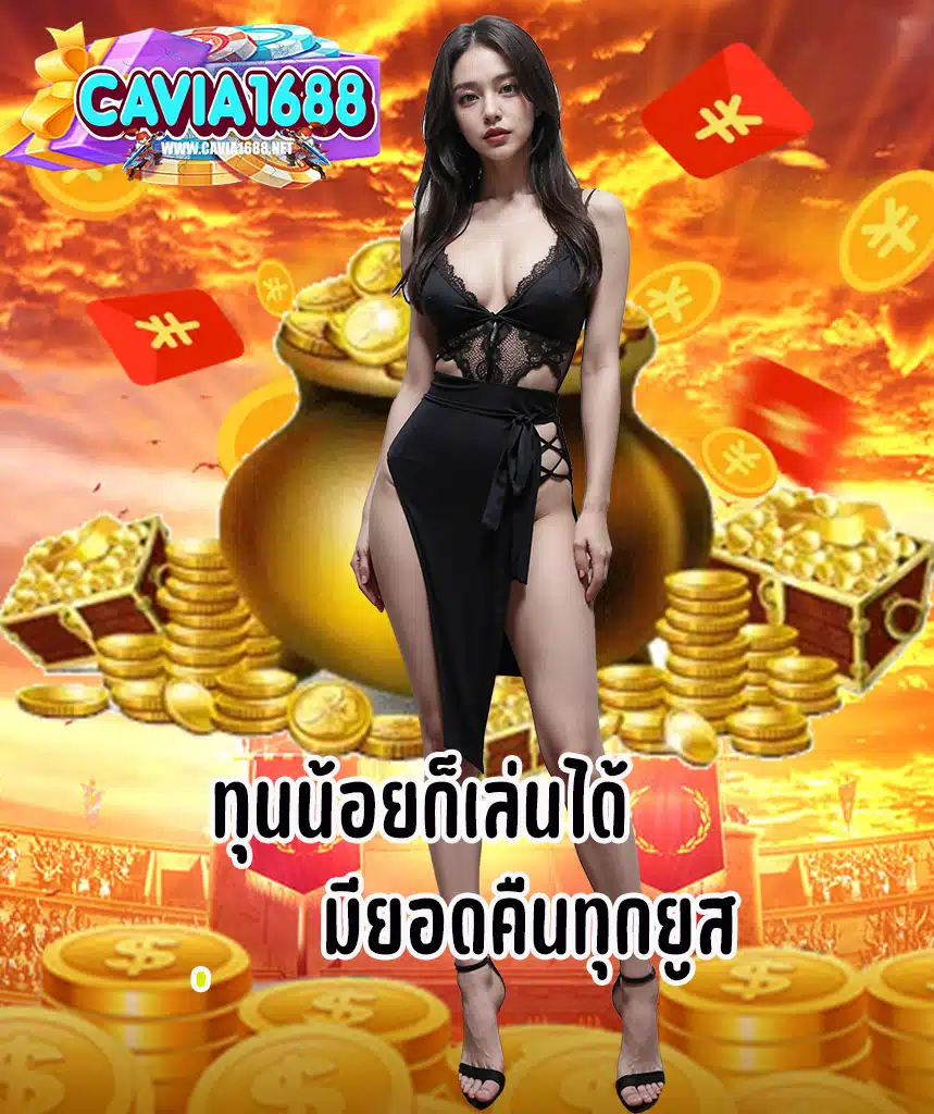 cavia1688 ทางเข้า